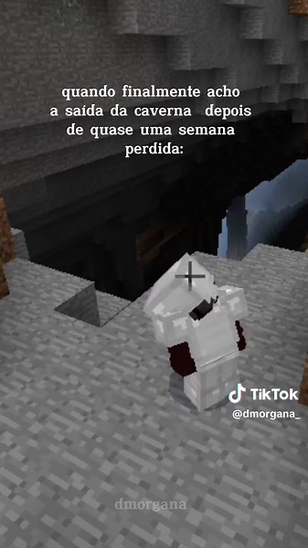 #minecraft #d_morgana #minecraftmemes