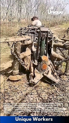 Stump removal: people using a machine to remove tree stumps