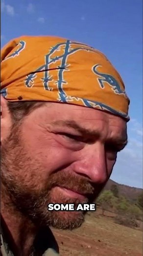 The Australian Outback is a Harsh Place to Survive | Survivorman