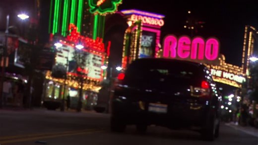 Animals 2008 Uncut BluRay 1080p DDP 5 1 x265-SM737