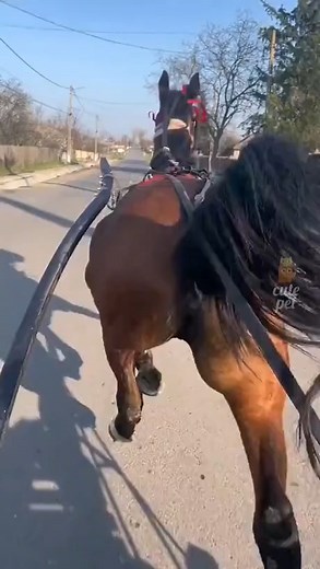 118K views · 6.1K reactions | Good night time to sleep enought internet for me | Life Is Weird | Facebook