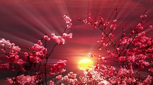 Download Sunset Time Lapse Scenery  for free