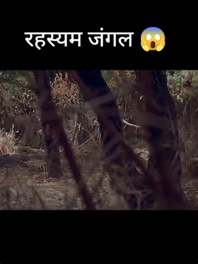 Admiring Talent and Magic: A Spectacle to Witness