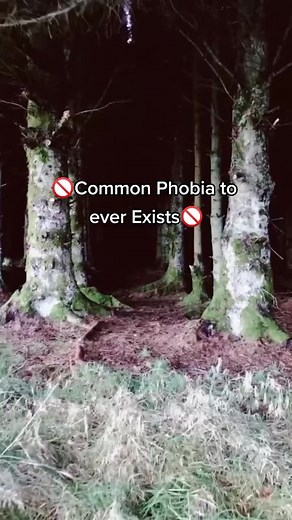 Understanding Teraphobia: The Fear of Monsters Explained
