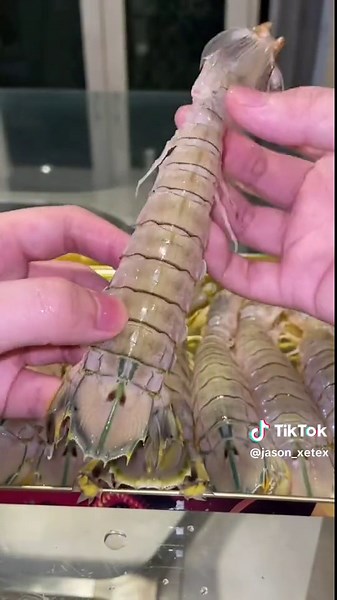 Mencicipi Udang Ronggeng: Makanan Unik dan Ekstrem