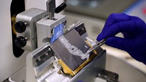 Induction of Intestinal Inflammation by Adoptive Transfer of CBir1 TCR Transgenic CD4  T Cells to Immunodeficient Mice