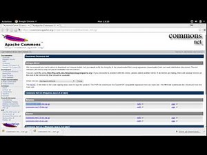 Download and add library commons-net-3.3 to Netbeans IDE, and java WhoisClient example