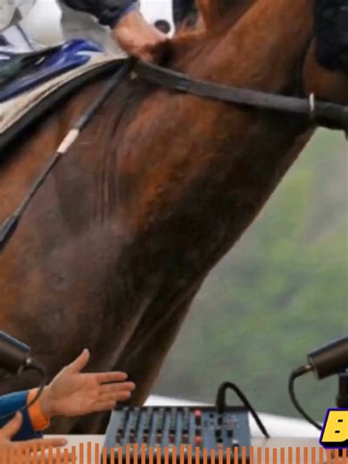 Comment assembler la stratégie gagnante avec bases solides, favoris et outsiders spéculatifs#quintédujour #quintepronostic #vincennes #quinté #coursehippiques #pmu