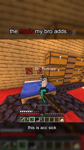 POV: Your bro finally adds a good mod #minecraft #shorts