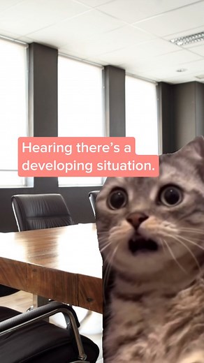 5.8K views · 135 reactions | Emergency management is a lot like herding cats. According to our director, anyway. | PA Emergency Management Agency | Facebook