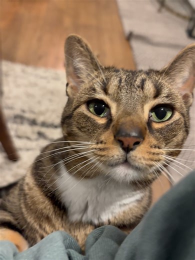 Walter Savage on Reels | Facebook