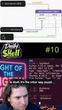 Shell variables vs Python and JS - Daily Shell #10