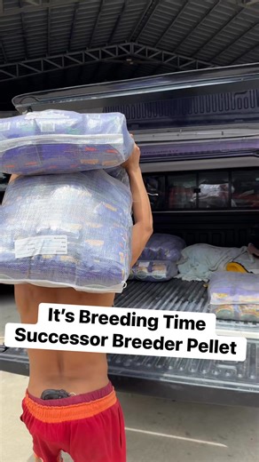 It’s Breeding Season Thunderbird Breeder Pellets | John Craig Ibre