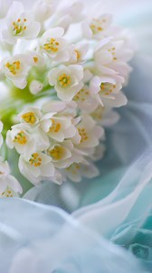 💆‍♀️ Bojin massage is a healing facial — unlike any regular treatment. Inspired by acupuncture, it helps relieve migraines, TMJ, and headaches, improves sleep, enhances circulation, and stimulates collagen production. Known as a natural Botox, it gently relaxes tight facial muscles that contribute to aging, allowing your skin to lift naturally and glow with youthful vitality. ✨ The secret? It can help lock your aging and preserve your natural beauty. #BojinMassage #NaturalFacelift #YouthfulGlow