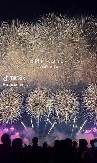 長岡花火大会の迫力！新潟で繰り広げられる美しい花火ショー