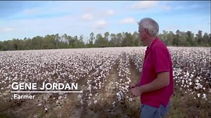 102K views · 836 reactions | NC should promote, not hinder, clean energy projects. The state legislature's current ban on new wind farms is hurting NC communities. | NC Conservation Network | Facebook