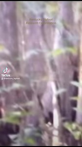 38K views · 498 reactions | Mississippi resident Josh Highcliff...