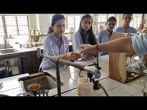 Separation of binary mixture and identification of organic compounds Section A