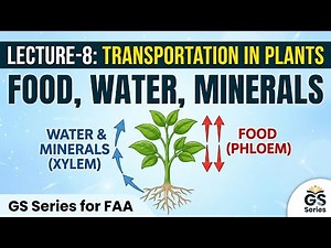 Transportation of Water Food and minerals in Plants Lecture -8