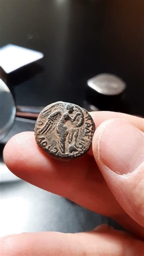 Domitian Caesar Victory Æ19 Under Agrippa II, 79 AD