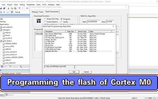 Programming the flash of Cortex M0 in FPGA