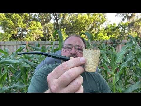 The Easiest Way to Upgrade Any Corn Cob Pipe (Forever Stems)