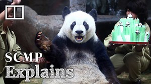For China, giant pandas play a dual role as symbols of soft power as well as icons of global conservation. The Post takes a look at how panda diplomacy has evolved through different eras of Chinese leadership. | South China Morning Post