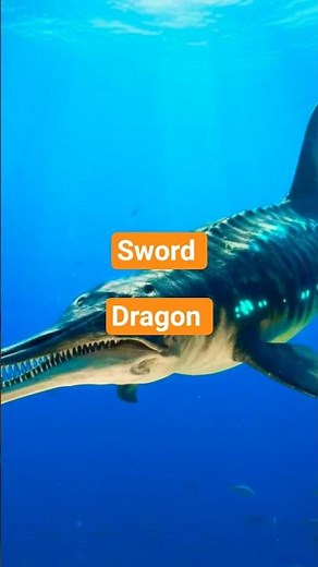 sword dragon(ichthyosaurus)🦕🦖 #sciencefacts #paleontology #dinasaur #jurrasic