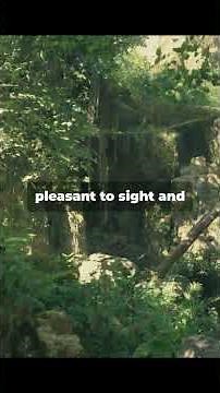 Genesis Chapter 2: The Creation Story Explained