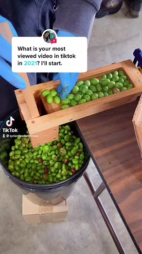 Homemade Olive Press