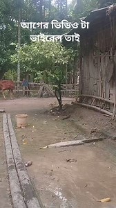 1.4M views · 3.7K reactions | তোমাদের জন্য এই ভিডিওটা বন্ধুরা #reelsviralシ #reelsfbシ #viralreels #reelsviralfb #facebookreelsviral #reelsfacebook #facebookreels #reelsviral #viralshorts #facebookviral | Tanu Biswas | Facebook