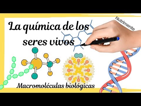 [MACROMOLECULES] The chemistry of living beings