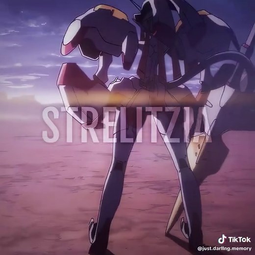 Strelitzia vibe.. | My TG: darling core #darlinginthefranxx #zerotwo | Darling in the Franxx