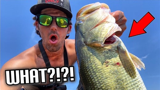 Ultimate surprise catch while fishing sparks excitement