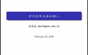 常见类型及基本输入