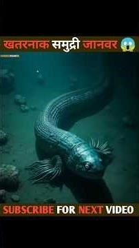 “Scariest Creatures Found 5000 Feet Under the Ocean 😱 | Deep Sea Mysteries #shorts