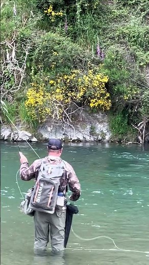Mataura River Dry Fly Fishing - with Chris Dore