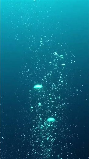 The Deep Sea Sound That Knocks You Out Instantly 🌊💤Relaxing Bubble Sounds #SHORTS