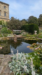 Howick Hall & Gardens should be on your visit list this summer. It's such a beautiful place. @howickhallgardens 📍Howick Estate Office, Alnwick NE66 3LB #northumberland_pics #northumberland_uk #northumberland #placestovisit #placestogo #placestovisit #thingstodo #howick #gardens #flowers #northeastfamilyadventures | North East Family Adventures