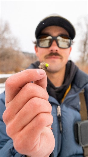Head over to our YouTube channel to learn how to tie the New Age Caddis, designed by Signature Tyer Jack Arnot. After years of testing this pattern while guiding and fishing personally, Jack’s New Age Caddis earned a spot in his competition fly box. Not only does it perform well on its own, but it also excels at suspending a nymph when fishing a dry dropper rig. Jack's pattern combines natural and synthetic materials to create a durable and effective caddis imitation. When tied in different colo