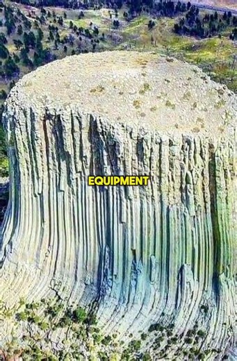 14K views · 251 reactions | “The real giants of the forest 望 #DevilsTower #AncientTreeStumps” | Amin | Facebook