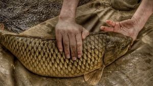 MobileMe phishing scam making the rounds once again