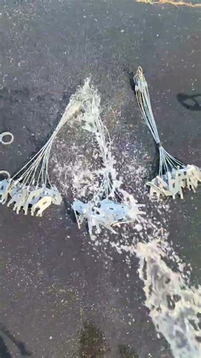 Rinsing off new traps after they sat in degreaser. #trapping #Newtrapprep #educational #coyote