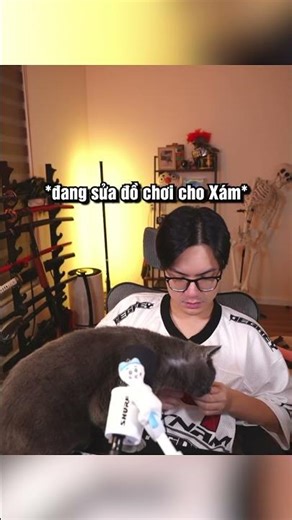 the strangest cat i've ever met #shorts #hk15 #chickengang