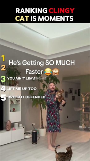 Ranking Clingy Cats