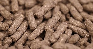 Combined Food Rodent Pets Combined Healthy Stock Footage Video (100% Royalty-free) 3411856515 | Shutterstock