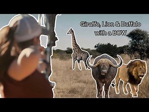 Cape Buffalo, Lion & Giraffe Bowhunt | Brielle’s African Safari