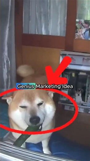 Shiba Inu Store Clerk in Tokyo🐕