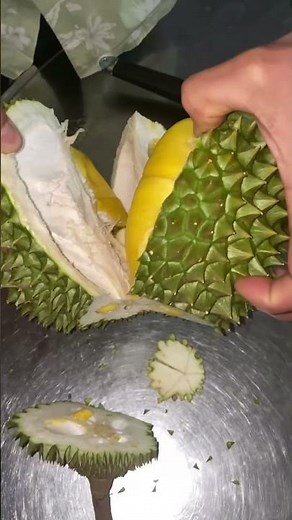 Hướng dẫn khui sầu riêng musang King đúng cách nhất
