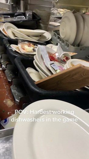 The Dishwasher Life: Behind the Scenes of Restaurant Dishwashing